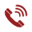 Phone Icon